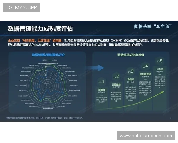 利用亚星管理网实现企业数据集中管理与信息安全保障的策略